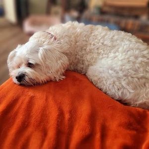 Meet your Posher, Patricia